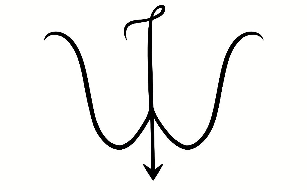 Iwona Wawrzynkiewicz