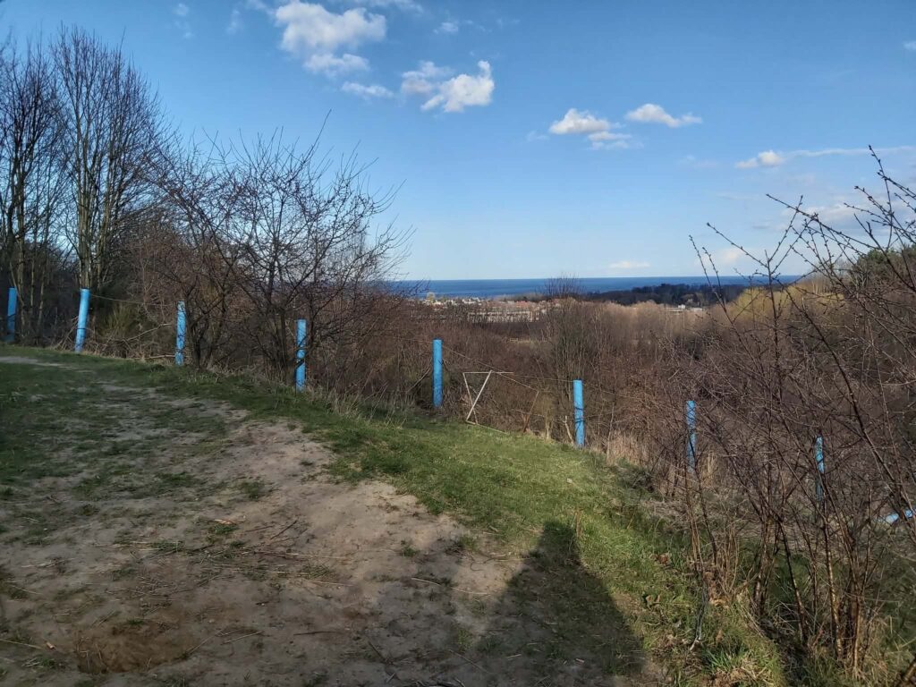 Wejdź między wrony… – czyli jak szukając duchowości zamknęłam się w kolejnej klatce